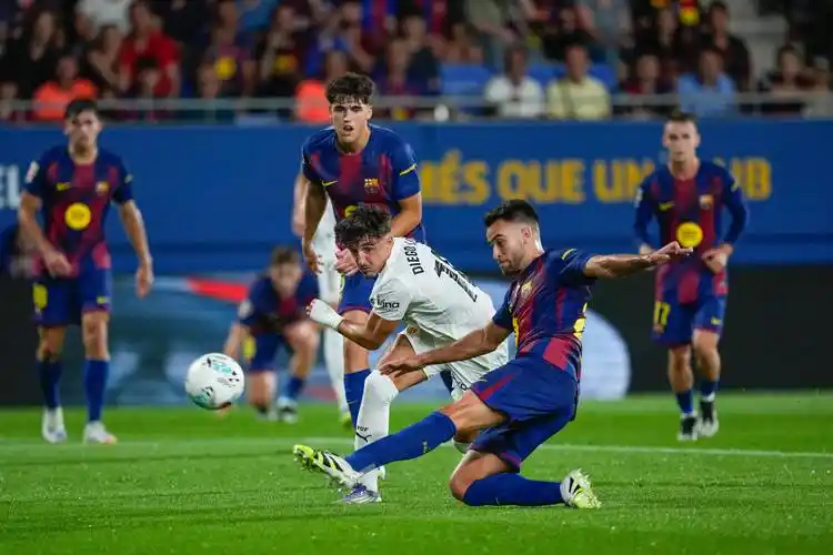 雨燕免费直播在线观看